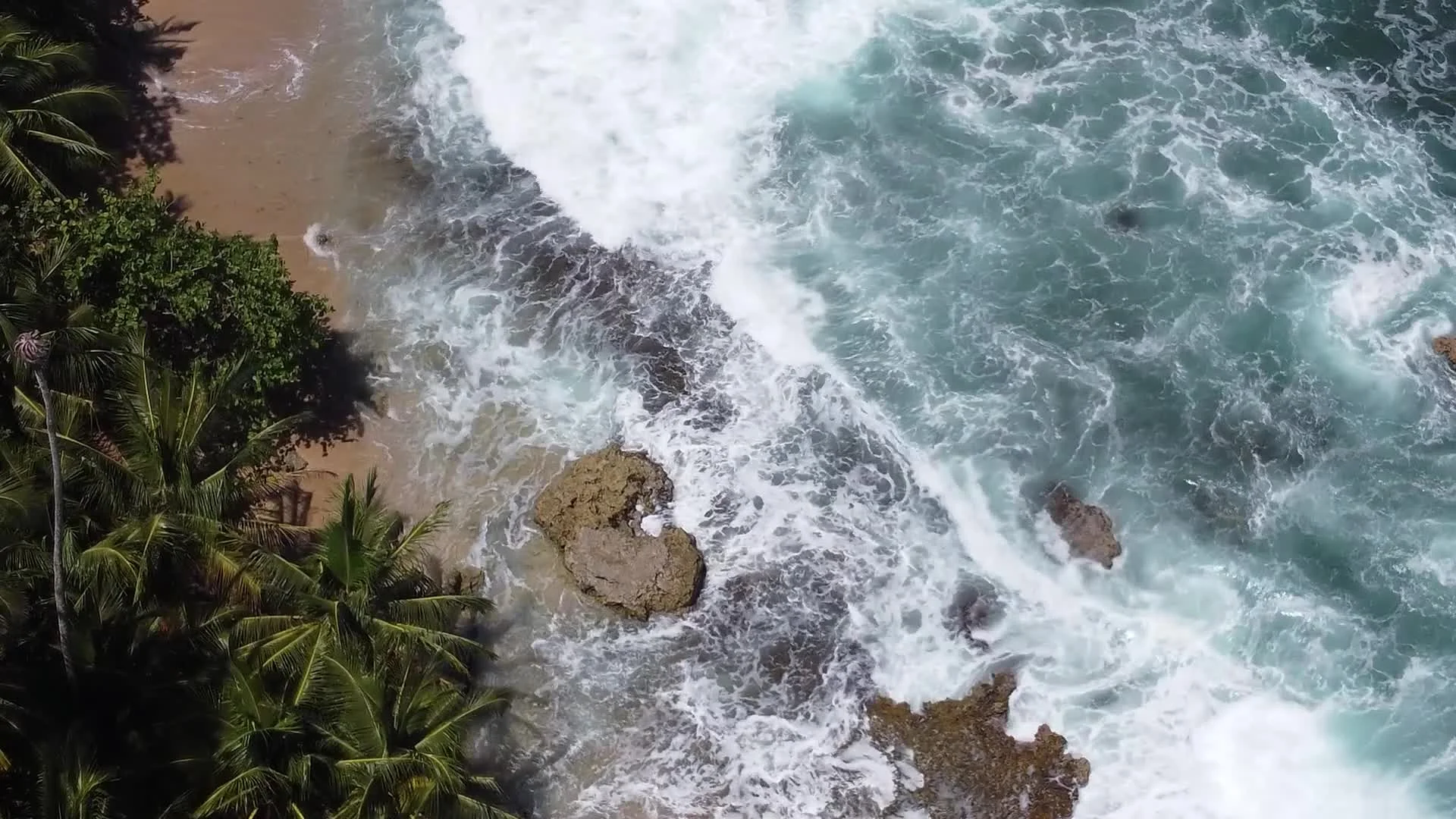 Aerial view of a tropical coastline